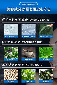 グロキシル　サプリメント　ヘアトニック Amazon | GROXIL (グロキシル) ヘアトニック 120ml (2本) 【医薬